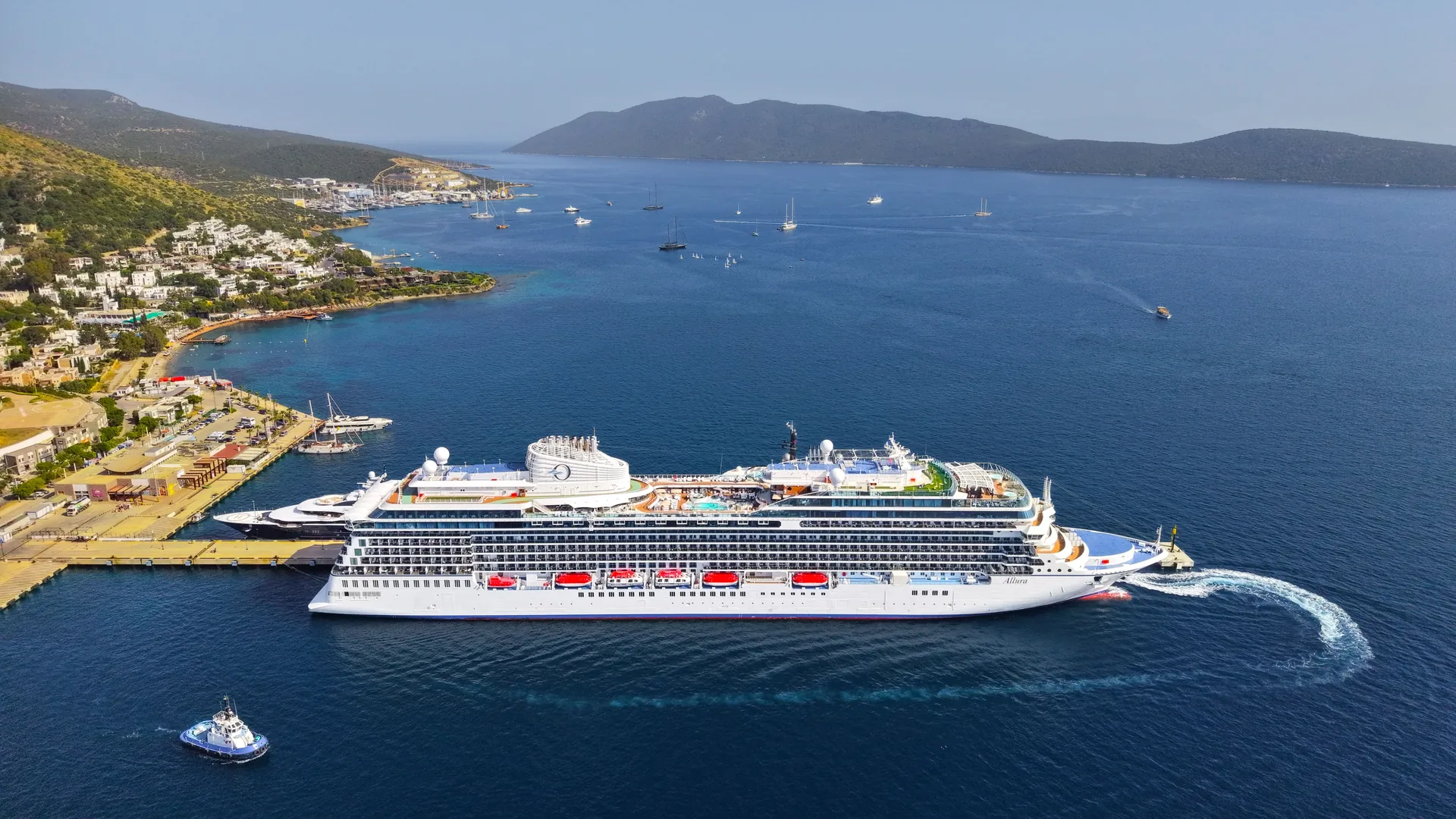 A cruise ship moored at a small seaside port with hills and open water beyond