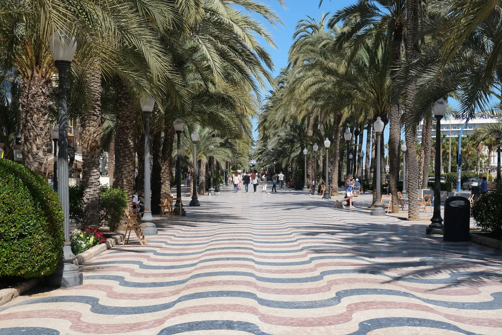 The Explanada de España in Alicante — a wide, level seafront promenade under two rows of palm trees, paved with its distinctive red, cream and blue wave-pattern marble