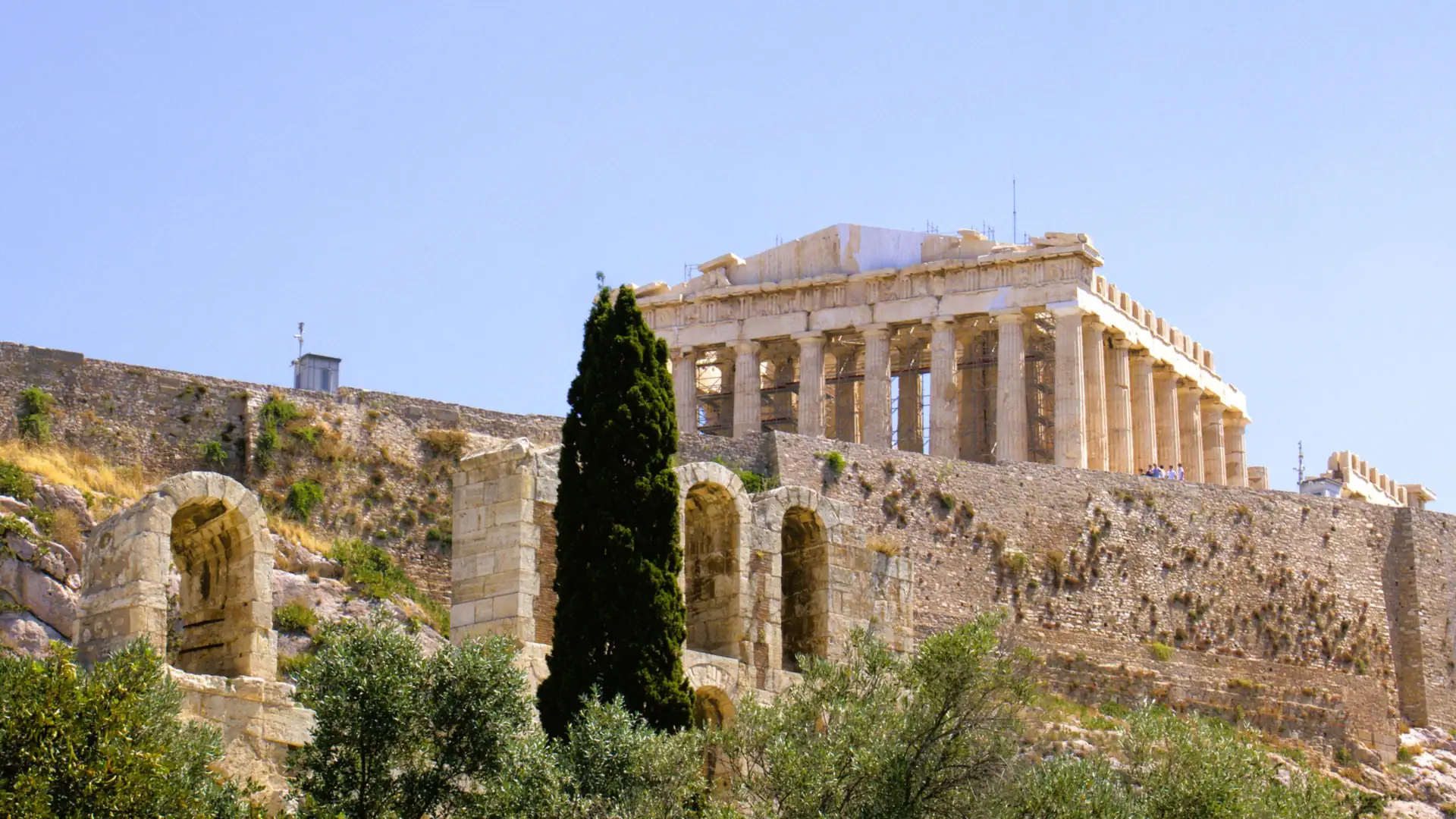 The Parthenon standing on the Acropolis above rocky slopes, a tall cypress tree and green shrubs under a clear blue sky