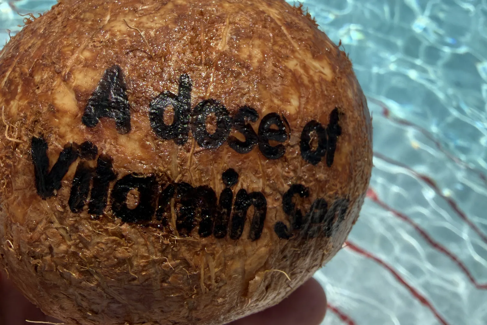 A drinking coconut branded 'A dose of Vitamin Sea', held above the Beach Club pool