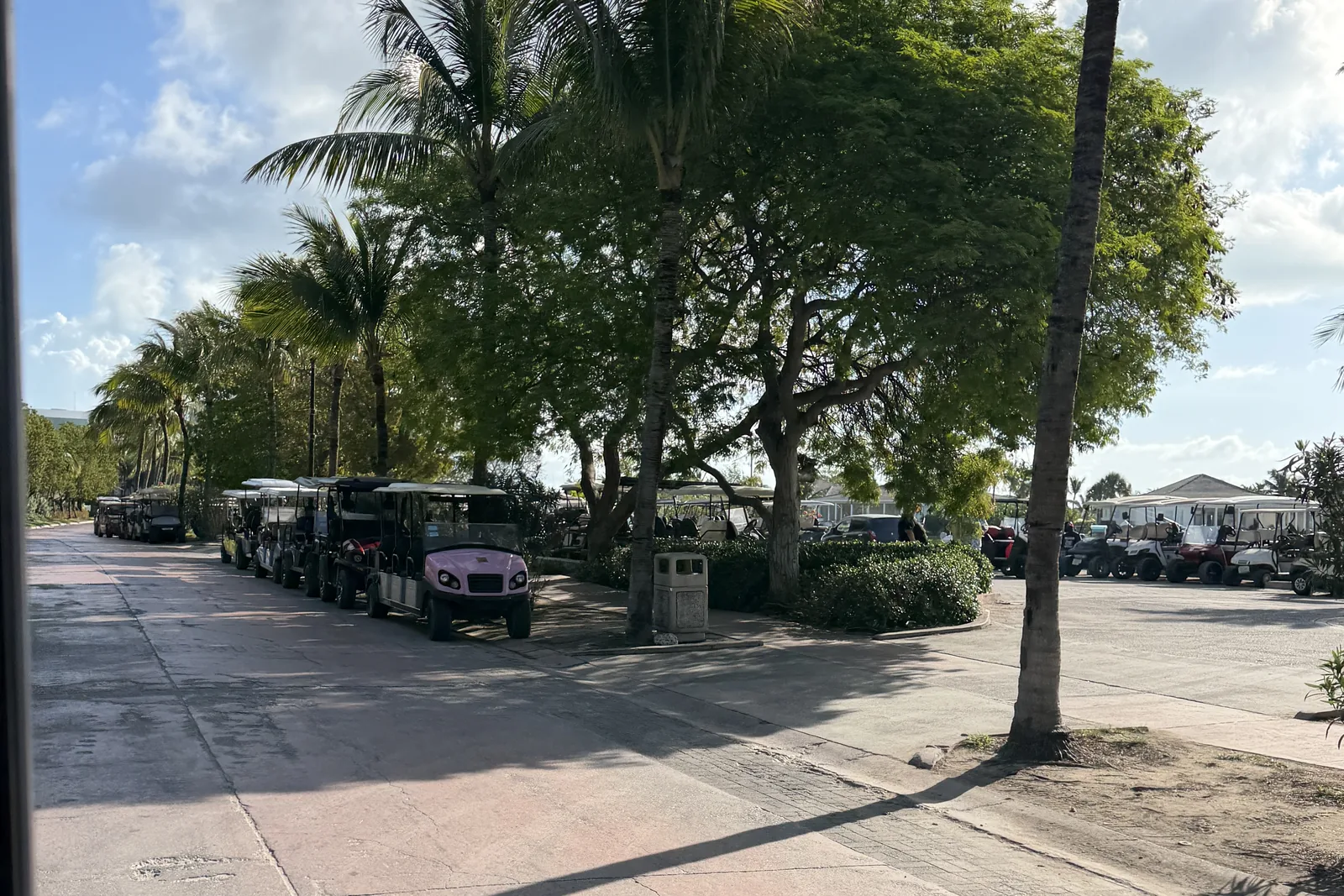 A line of golf carts parked along a road on North Bimini, with a rental lot beyond