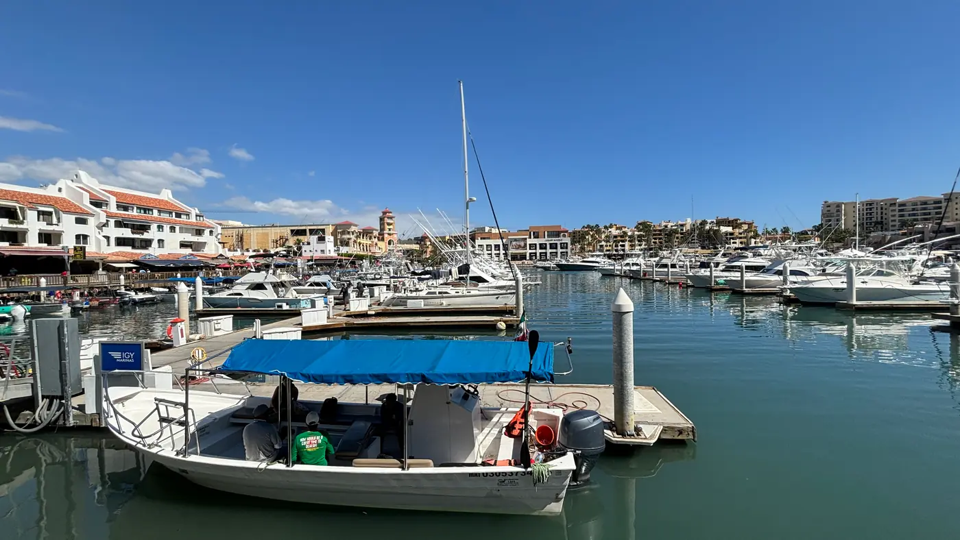 The Cabo San Lucas marina, boats moored along a curving promenade below low hills