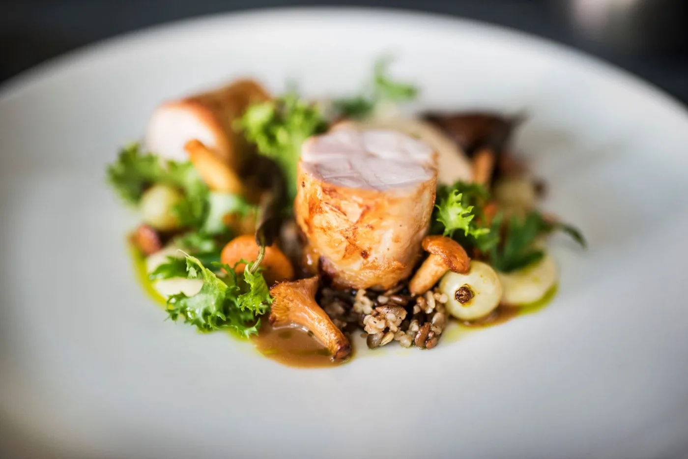 A plated main course with vegetables and sauce, elegantly presented
