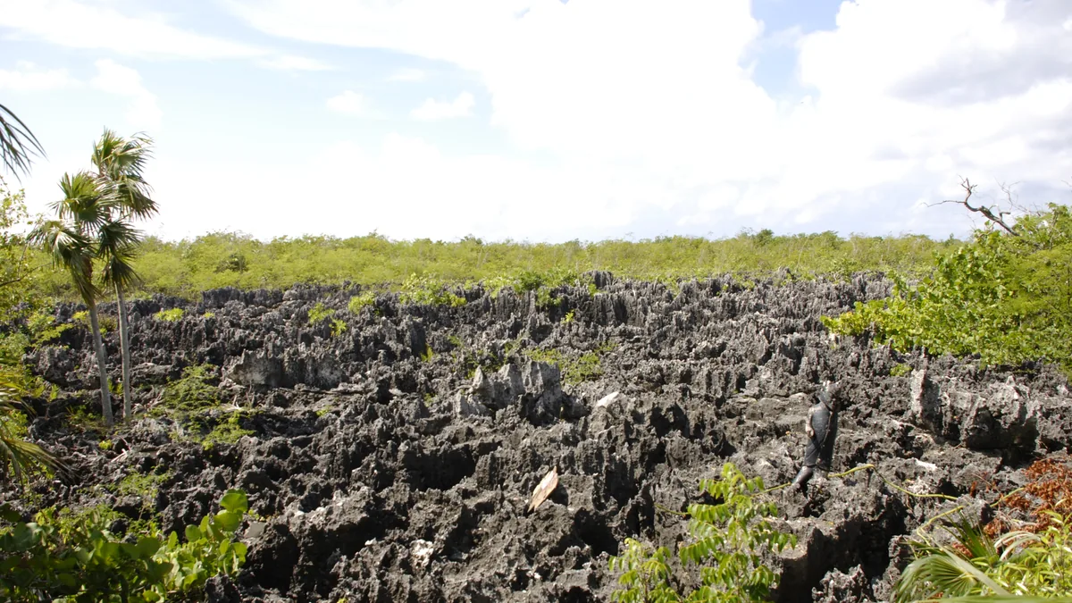 The jagged black ironshore limestone formations at Hell in West Bay, Grand Cayman, surrounded by low scrub