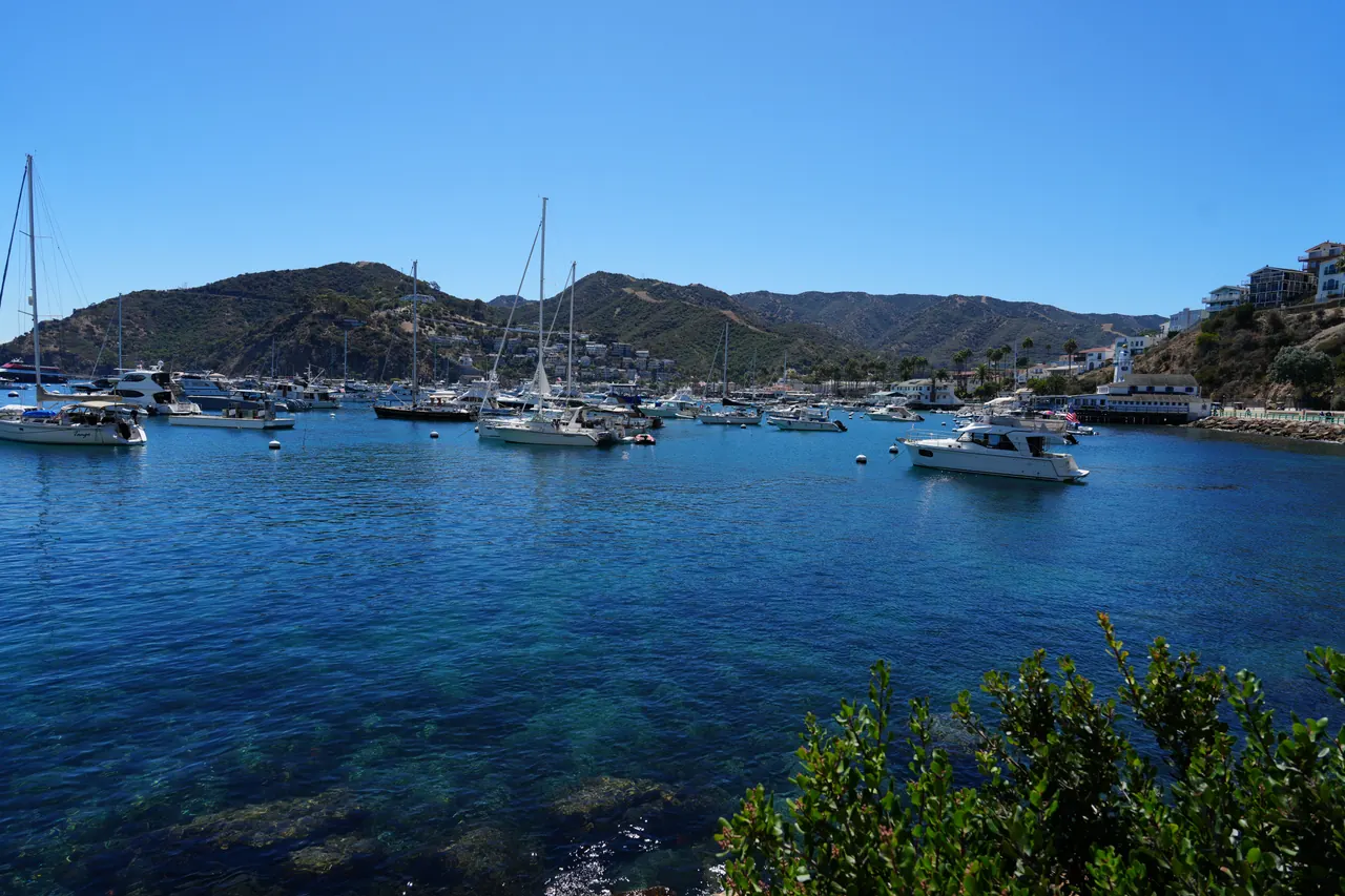 Avalon Harbor on Catalina Island on a clear day, filled with moored sailboats and yachts below dry hills