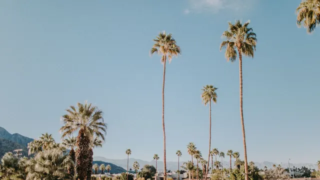 Palm Springs LGBTQ+ Guide: Arenas District and Warm Sands