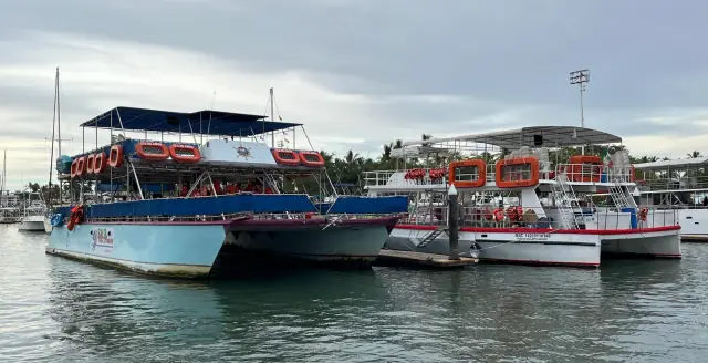 Puerto Vallarta Cruise Port: 8 Docked Hours
