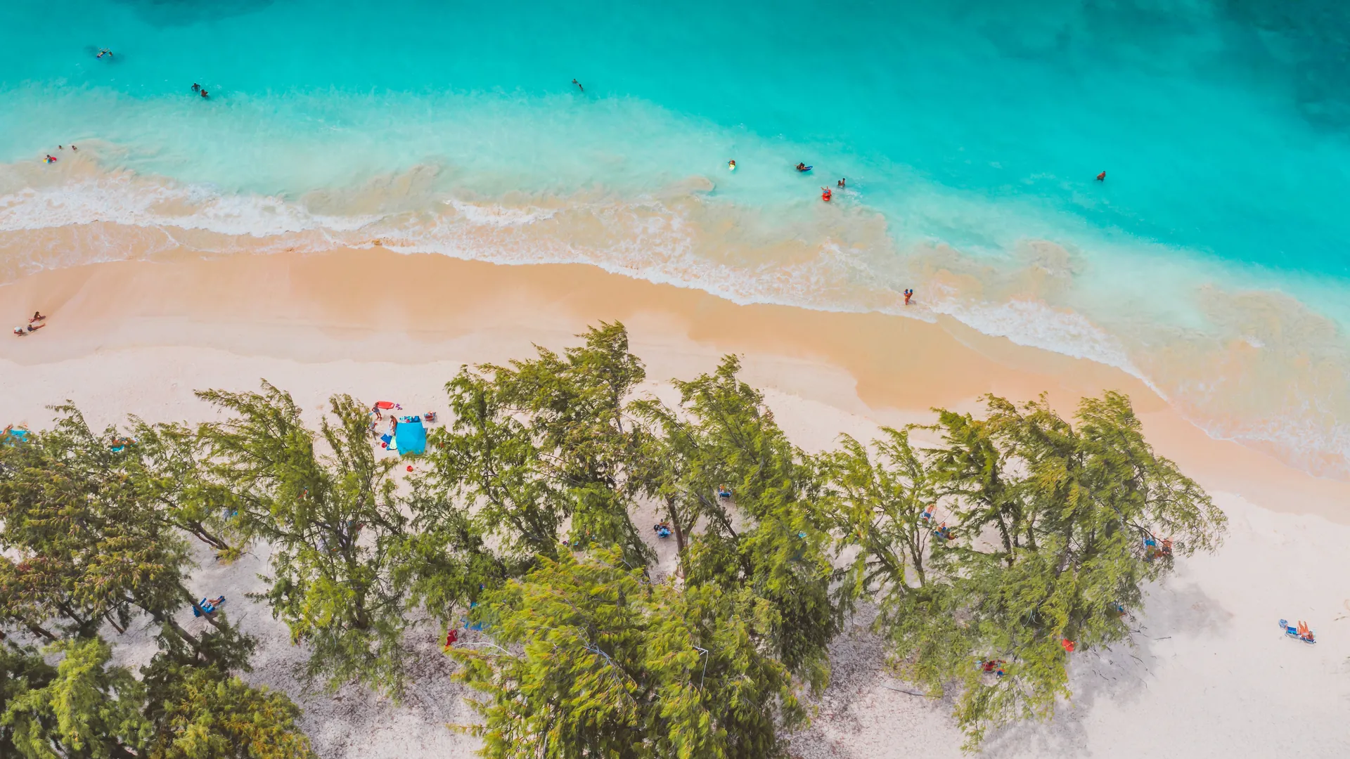Aerial view of a tropical shoreline with turquoise shallows, pale sand and dense green trees