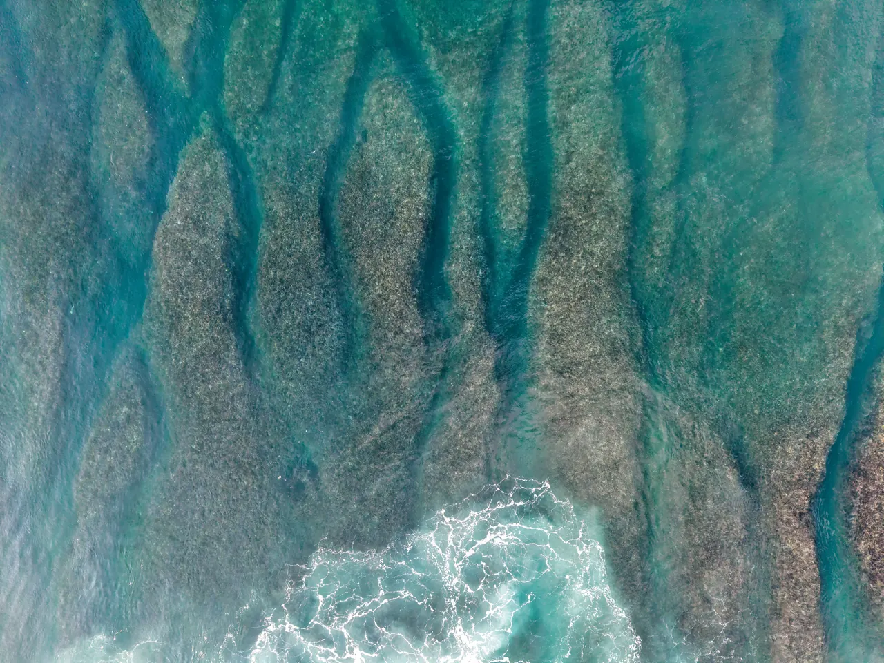 Explore the striking beauty of Bali’s coral reefs and turquoise ocean waves from an aerial perspective.